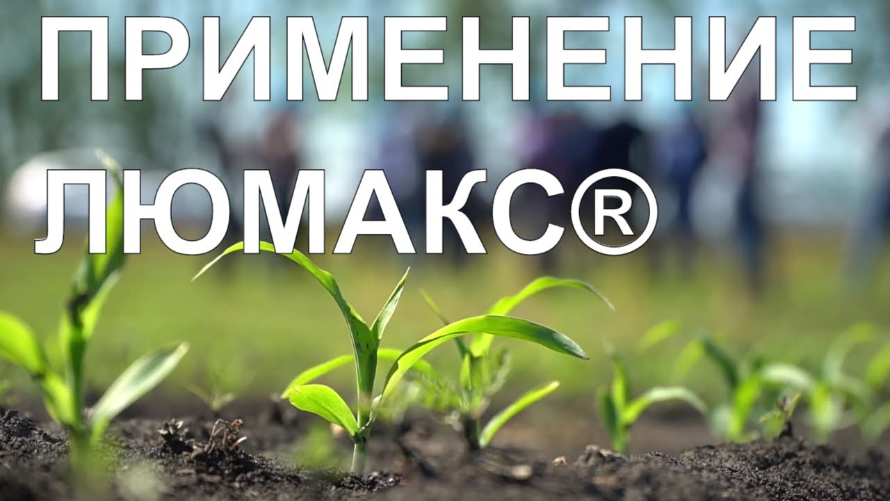 ЛЮМАКС® - отзывы, опыт агрономов, полевой тур