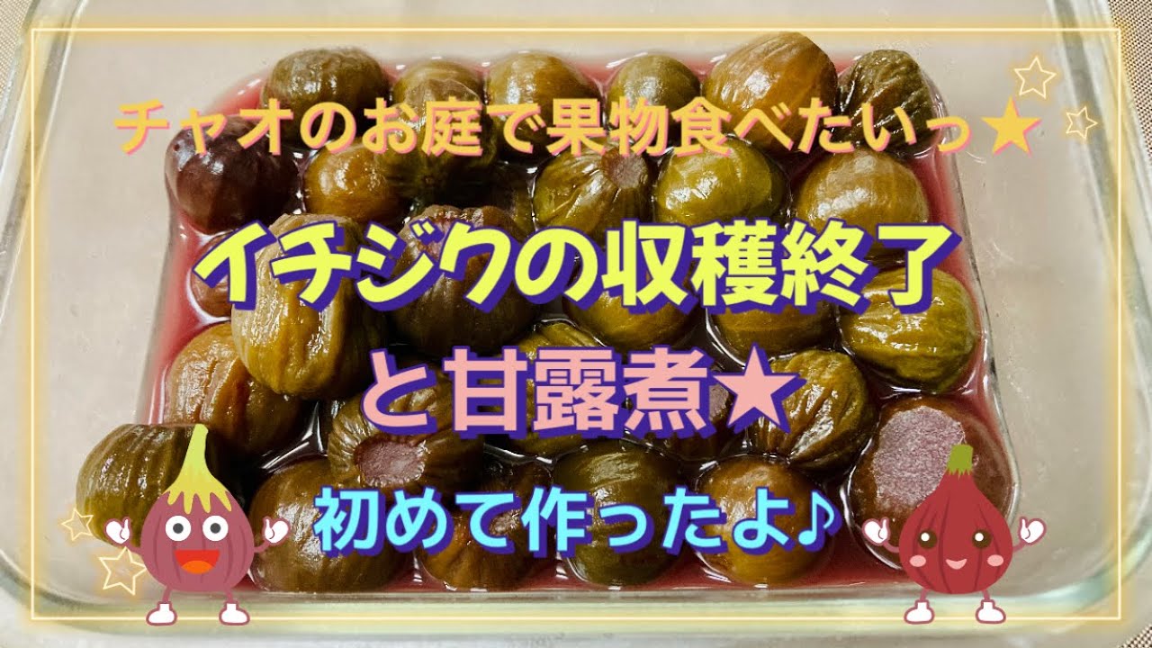 イチジクの収穫終了と甘露煮★