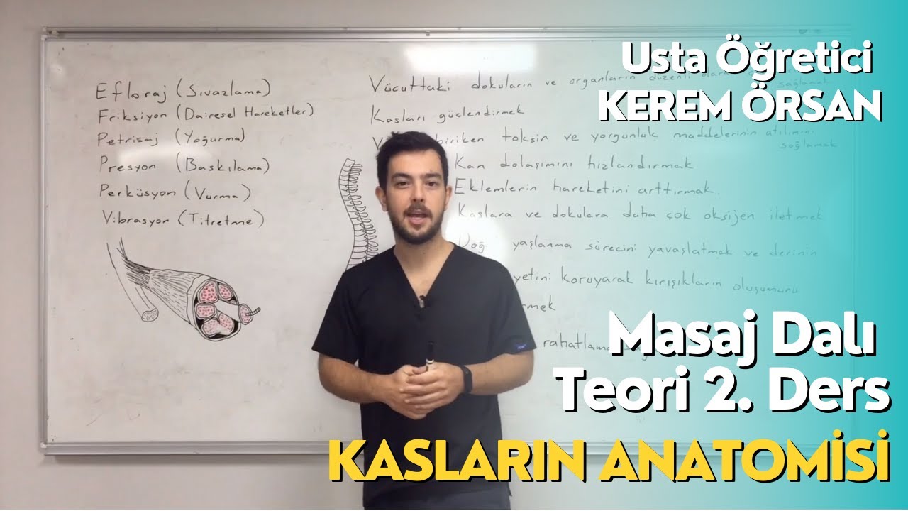 Masaj Dalı - Bölüm:2 Kasların Anatomisi Usta Öğretici. Kerem Örsan