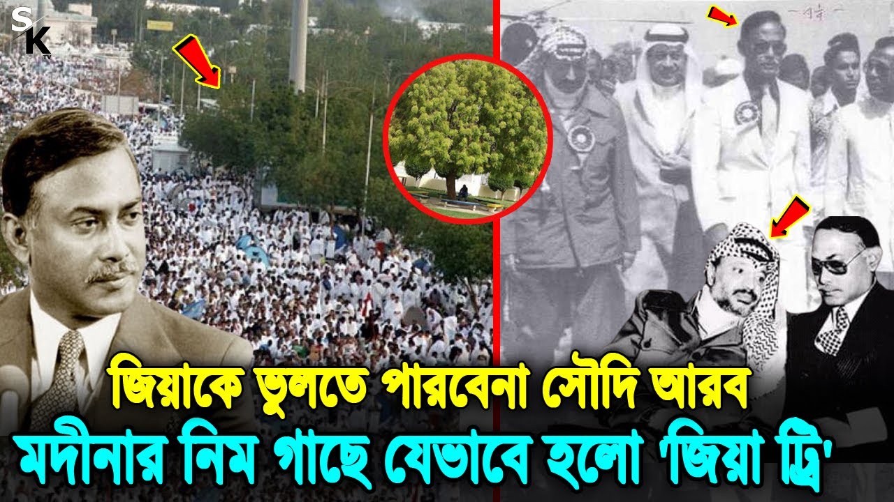 আরাফার ময়দানের নিম গাছের নাম কেন জিয়া ট্রি? সৌদি আরবের জিয়া ট্রি গাছের ইতিহাস ও রহস্য। Zia। BNP