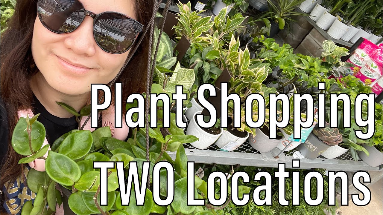 Plant Shopping Home Depot, Joseph's Nursery Houston TX #plants