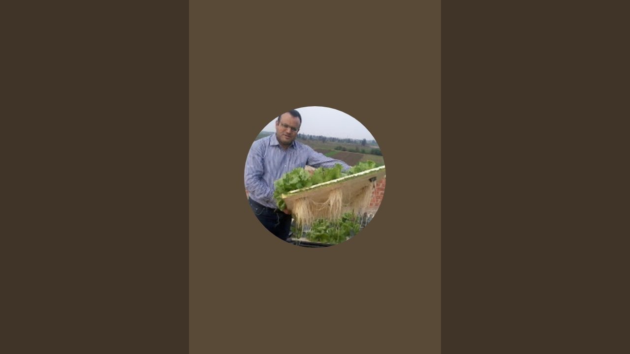 Ponica بونيكا is live