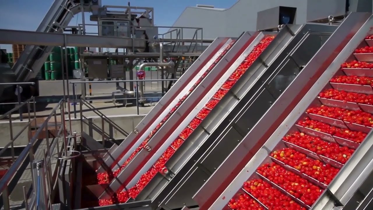 CFT Technologies: Driving Innovation in Food & Beverage Processing