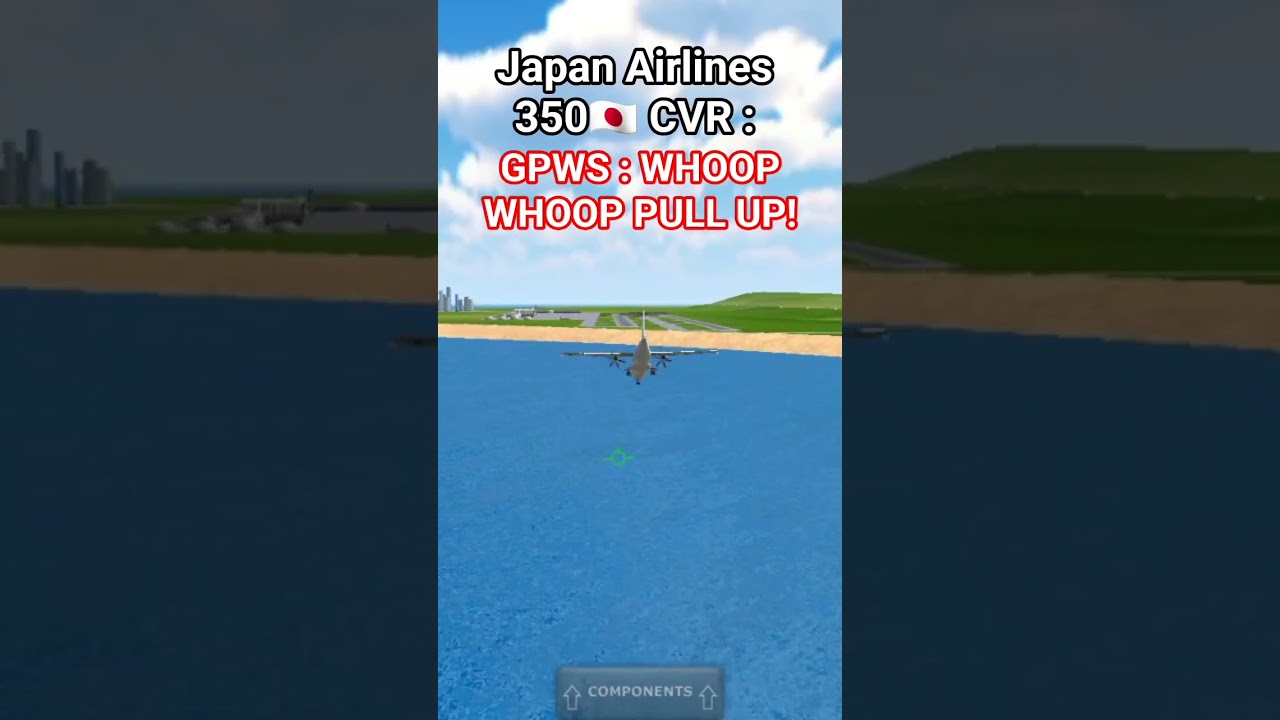 Japan Airlines 350🇯🇵 recreated in TFS#humanerror #dc8 #japan #japanairlines #retro #tfs