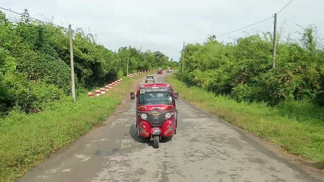 ငွေဆောင်အိုးဝေအဖွဲ့ ပဒေသာပင်လေးပါ