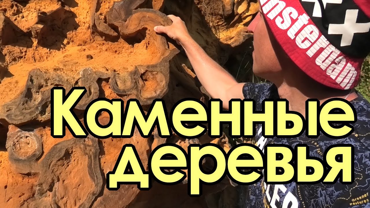 Каменные деревья