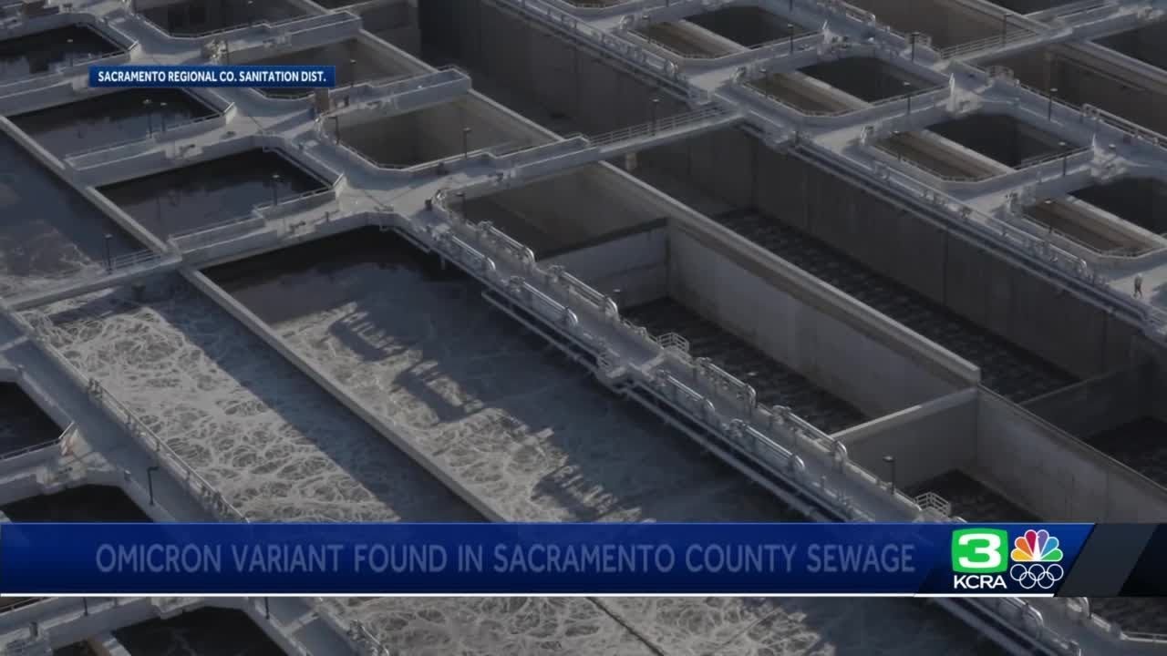 Low concentrations of omicron variant found in Sacramento County sewage sample