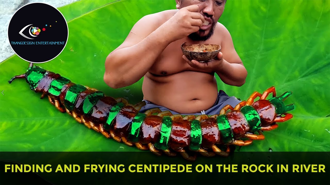 Wild Life in Thai's Forest - Finding and frying Centipede on the rock in river