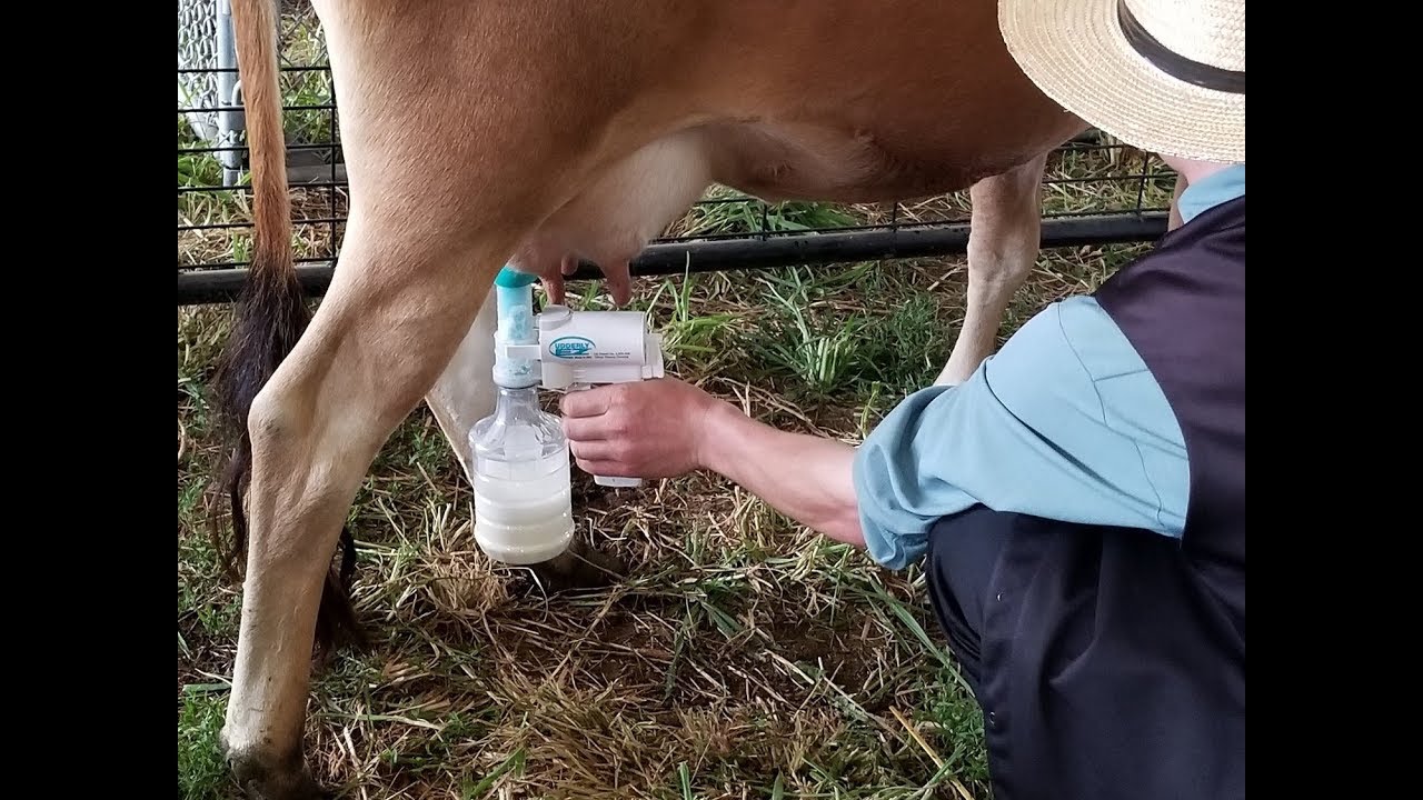 UDDERLY EZ MILKER FOR COWS