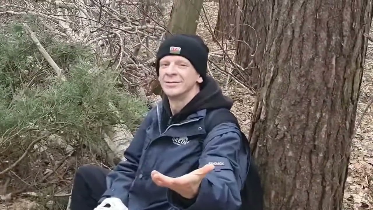 Klisza leśna [OBSZAR BADAWCZY SZKOLNA 17 REUPLOAD]