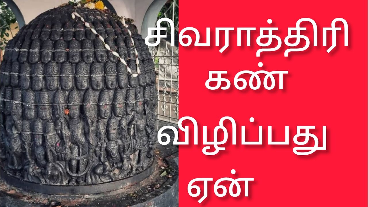 ,# mahasivaratri#viradam# palankal# poojai