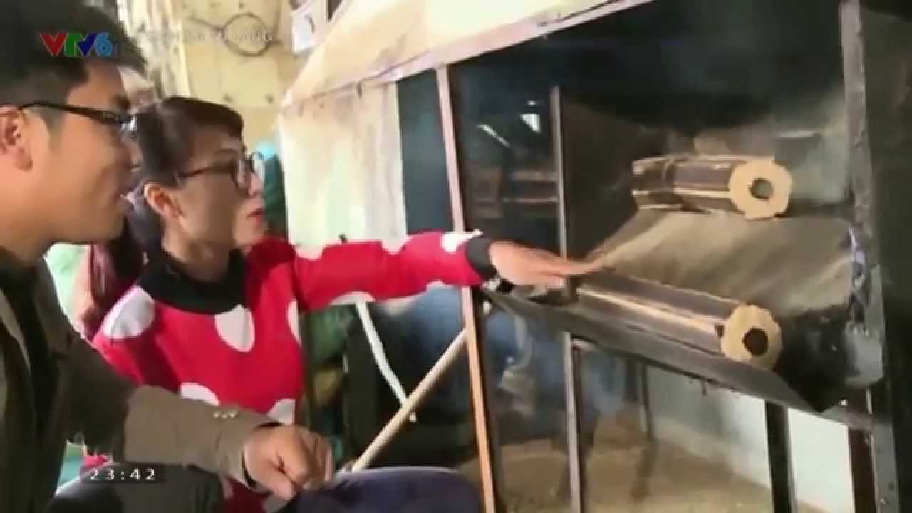 Học cách TÁI CHẾ TRẤU THẢI để thu lãi 3 tỷ năm