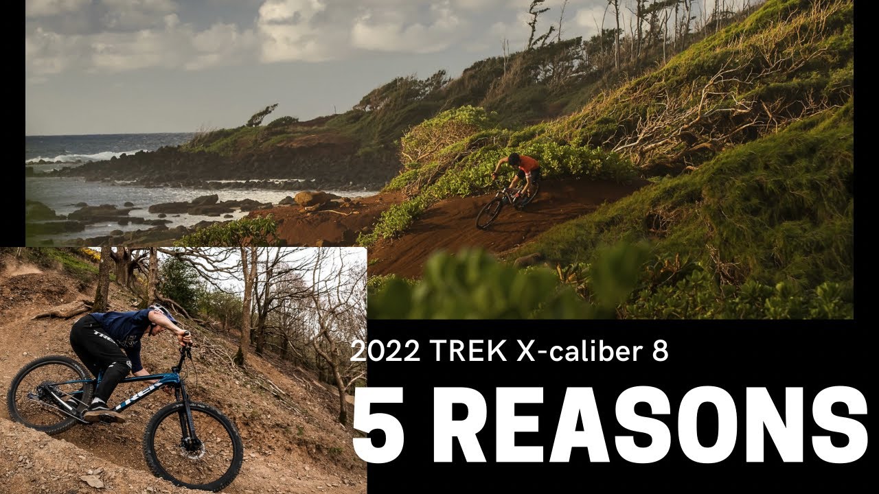 X-Caliber 8 vs Roscoe 8: 5 reasons you should buy the X-Caliber 8!