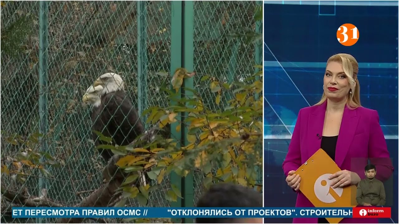 Алмаатинский зоопарк ждет масштабная реконструкция