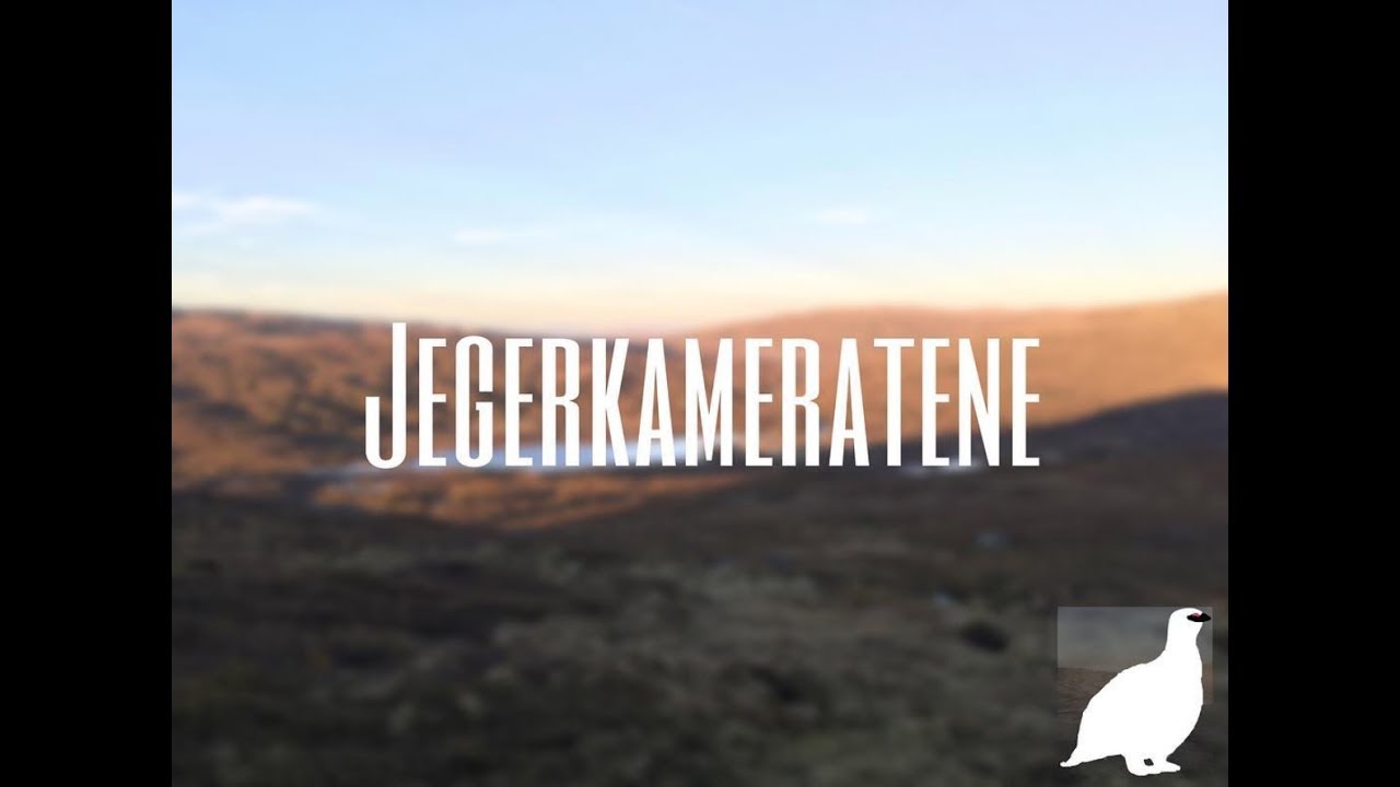 Skogsfugljakt Sverige 2017