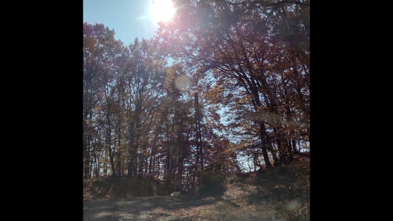 Toamna &icirc;n Podișul T&acirc;rnavelor #romania #automne