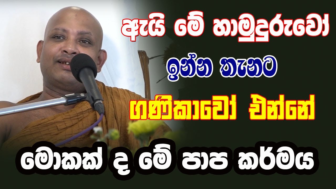 මේ වගේ අයව දෙවියෝ රකිනවා. අලියා ගැහුවත් මැරෙන්නේ නෑ  | borelle Kovida Himi Bana| bana 2025