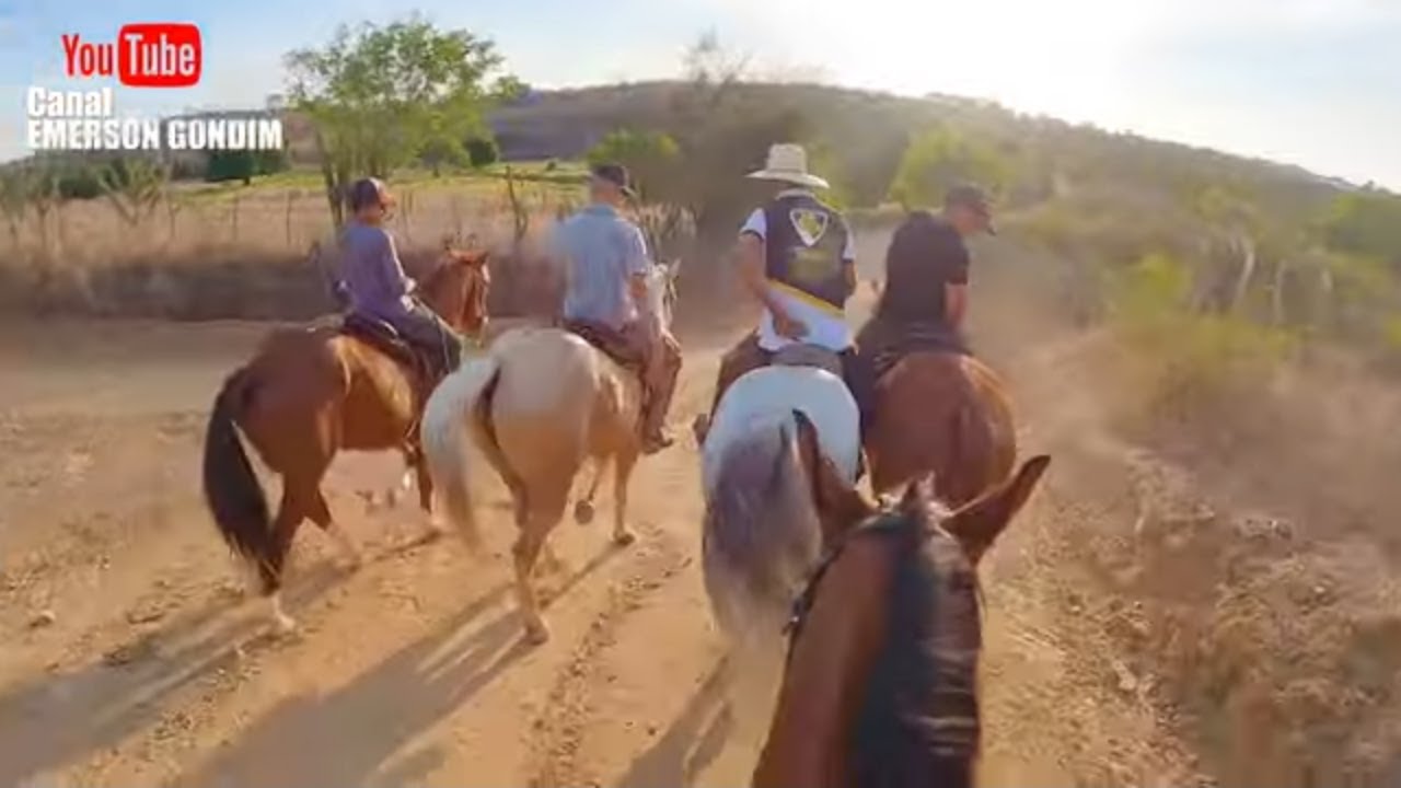 CAMINHANDO A TROPA DO PARQUE COM AQUELA RESENHA  (PARTE 02)