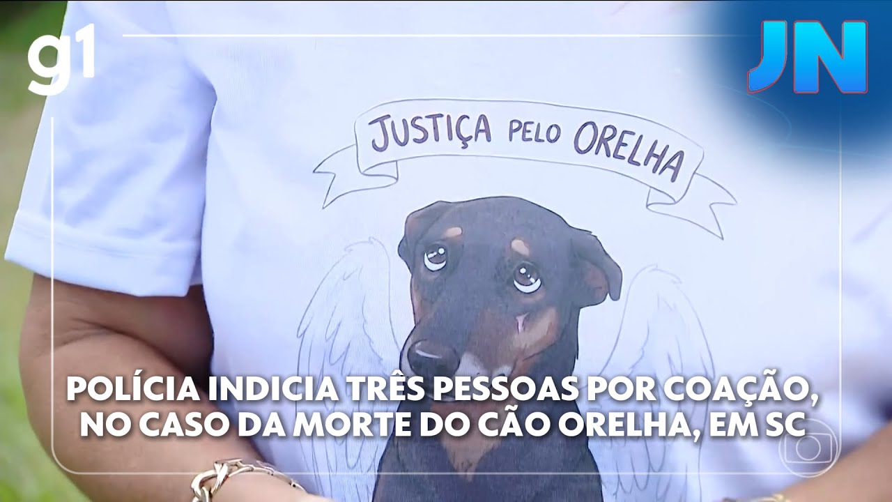 JN: Polícia indicia três adultos suspeitos de coação após adolescentes agredirem cão Orelha em SC