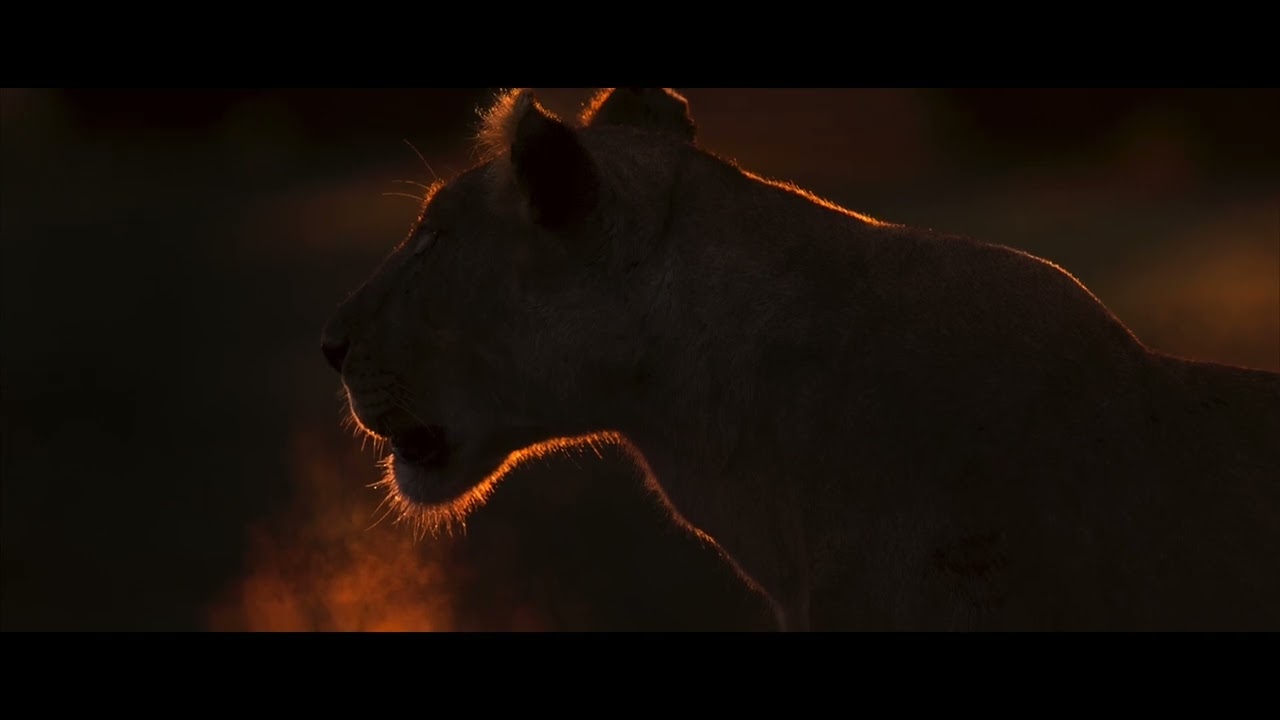 EOS Ambassador, Shivang Mehta capturing the wildlife through Canon RF100-300mm f2.8 L IS USM lens