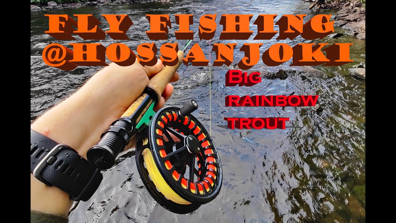 Hossanjoki 2022 | Rainbow trout hooked with a larva imitation