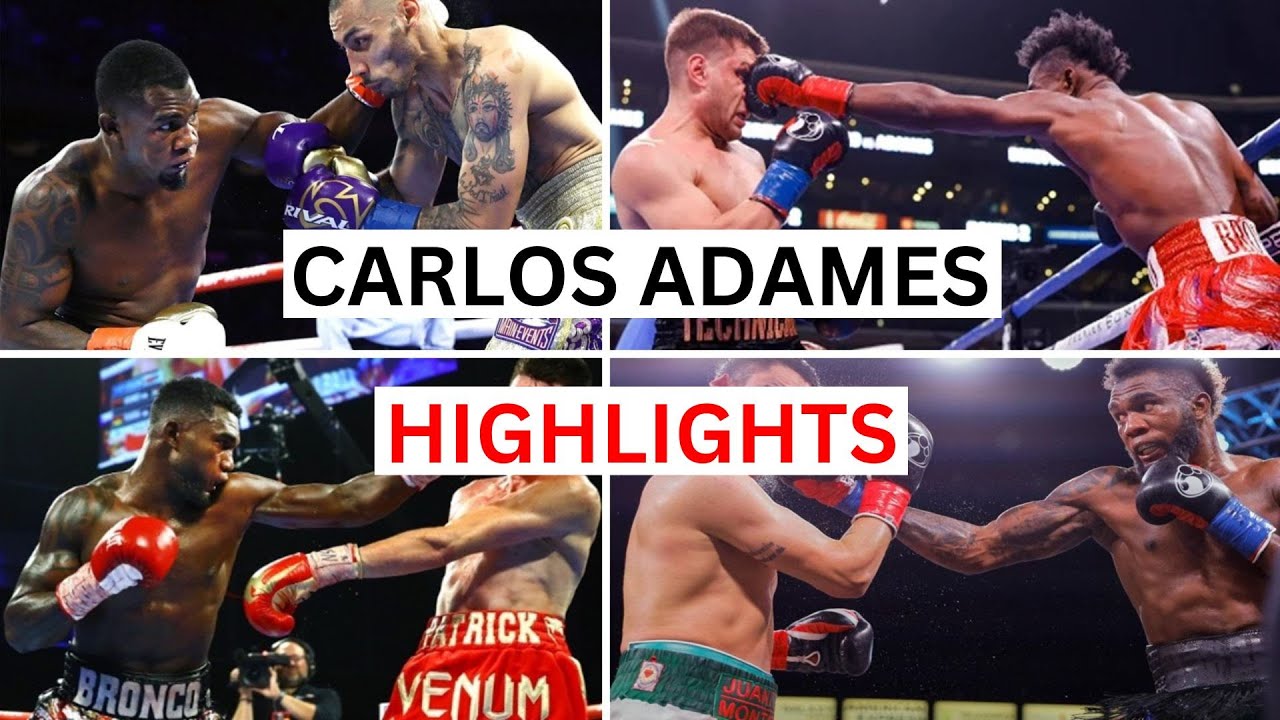 Carlos Adames (22-1) Highlights & Knockouts