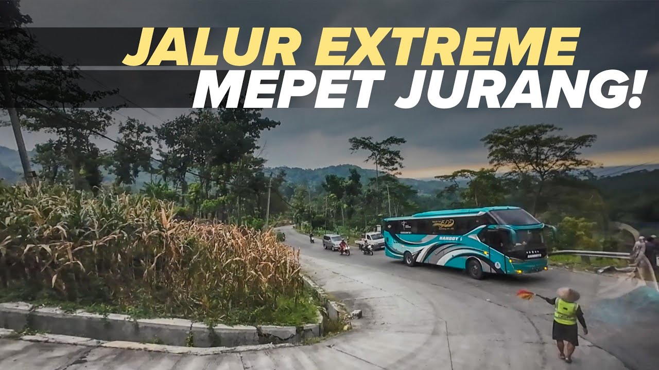 BERTAHAN DI LINTAS JALUR EKSTRIM WELERI - PARAKAN |  Handoyo Super Executive Angkatan Pagi