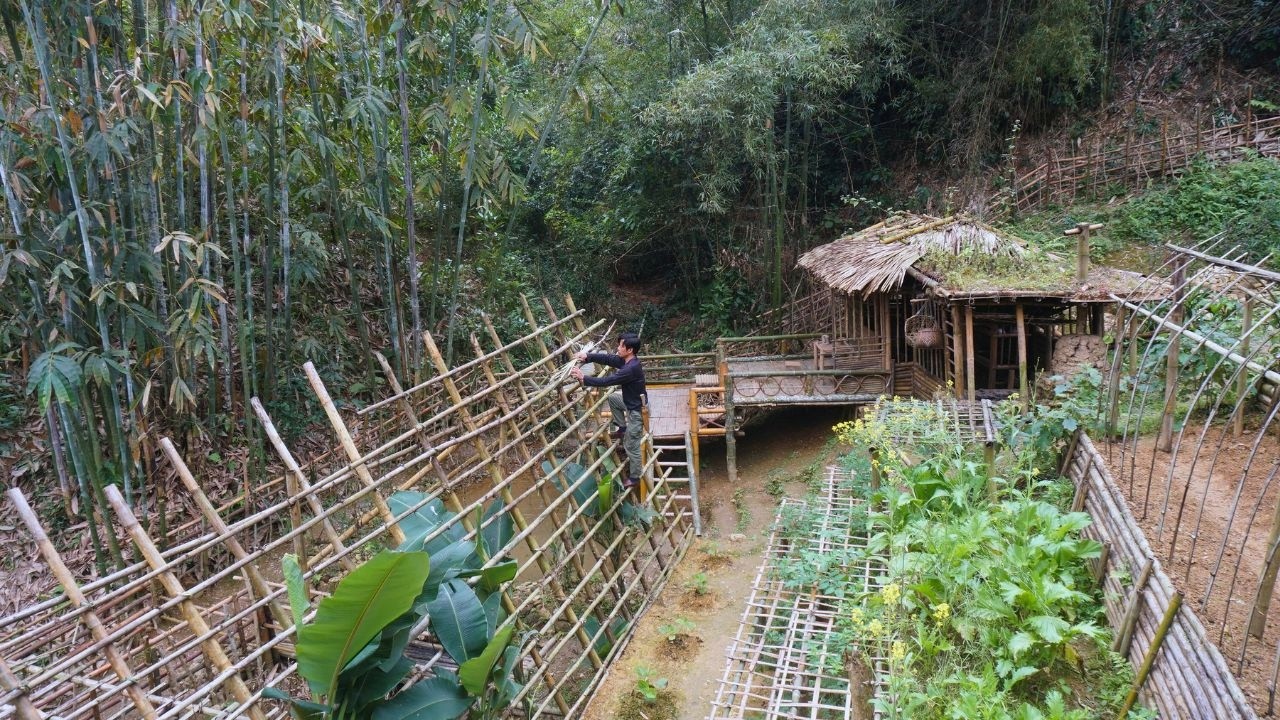 Time Lapse: The one-year process of building and developing a farm in the forest.