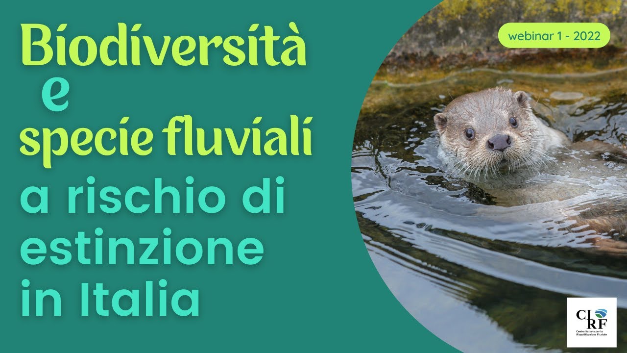 Biodiversità e specie fluviali a rischio estinzione in Italia