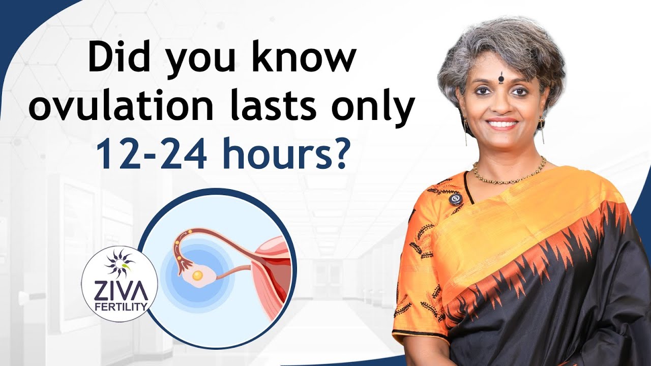 Egg Lifespan After Ovulation | Fertile Window | Natural Pregnancy Tips | Dr C Suvarchala | ZIVA