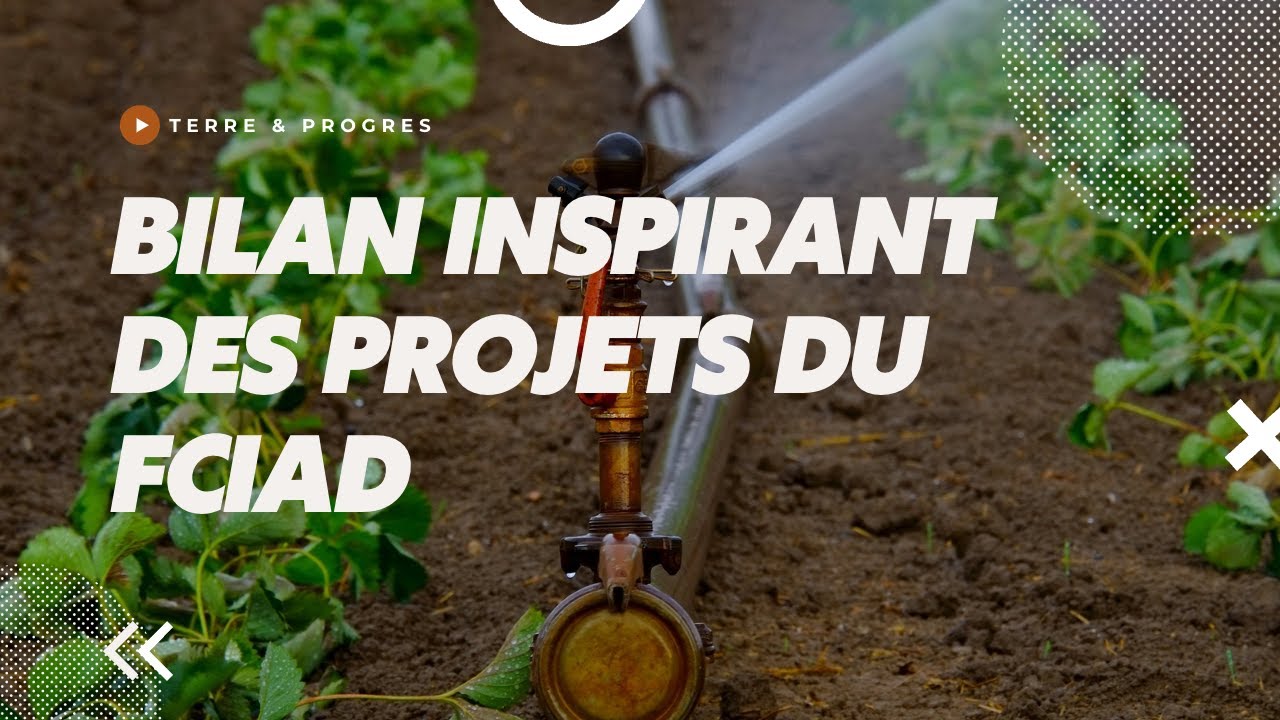 Bilan inspirant des projets du FCIAD pour une agriculture durable et comp&eacute;titive