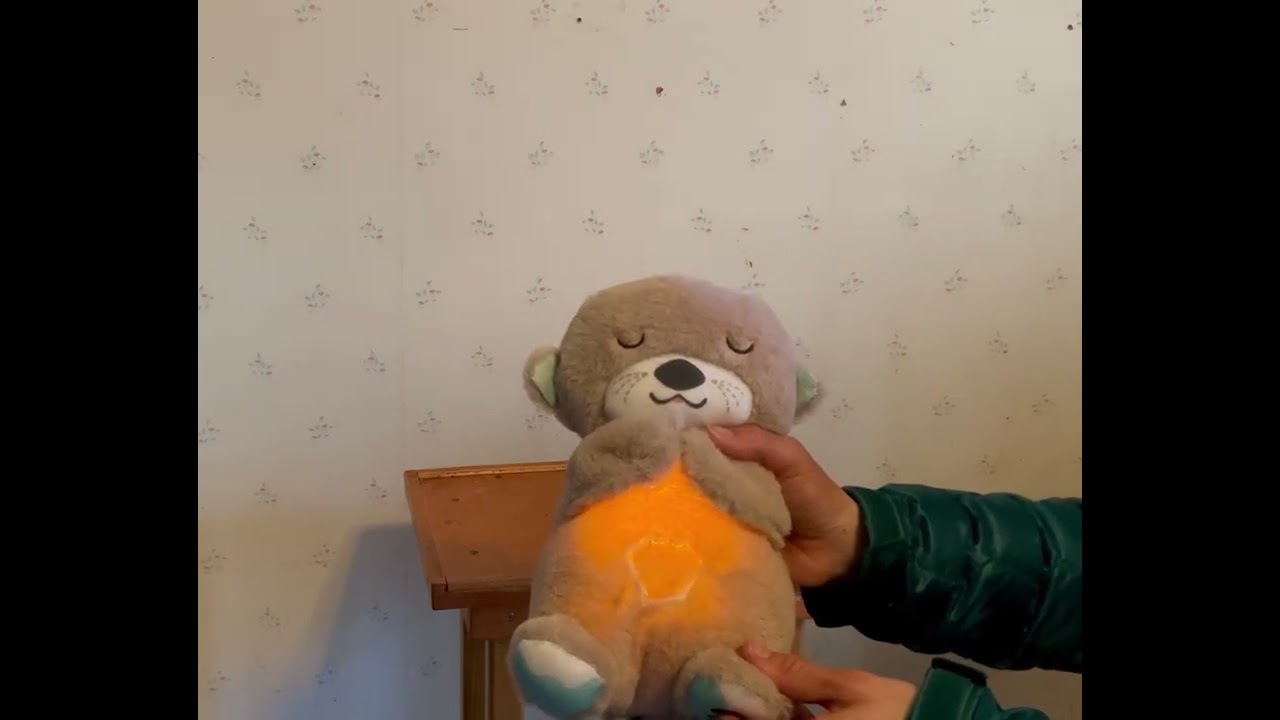 Fisher Price Sound Machine Soothe 'n Snuggle Otter Portable Plush Baby Toy Review