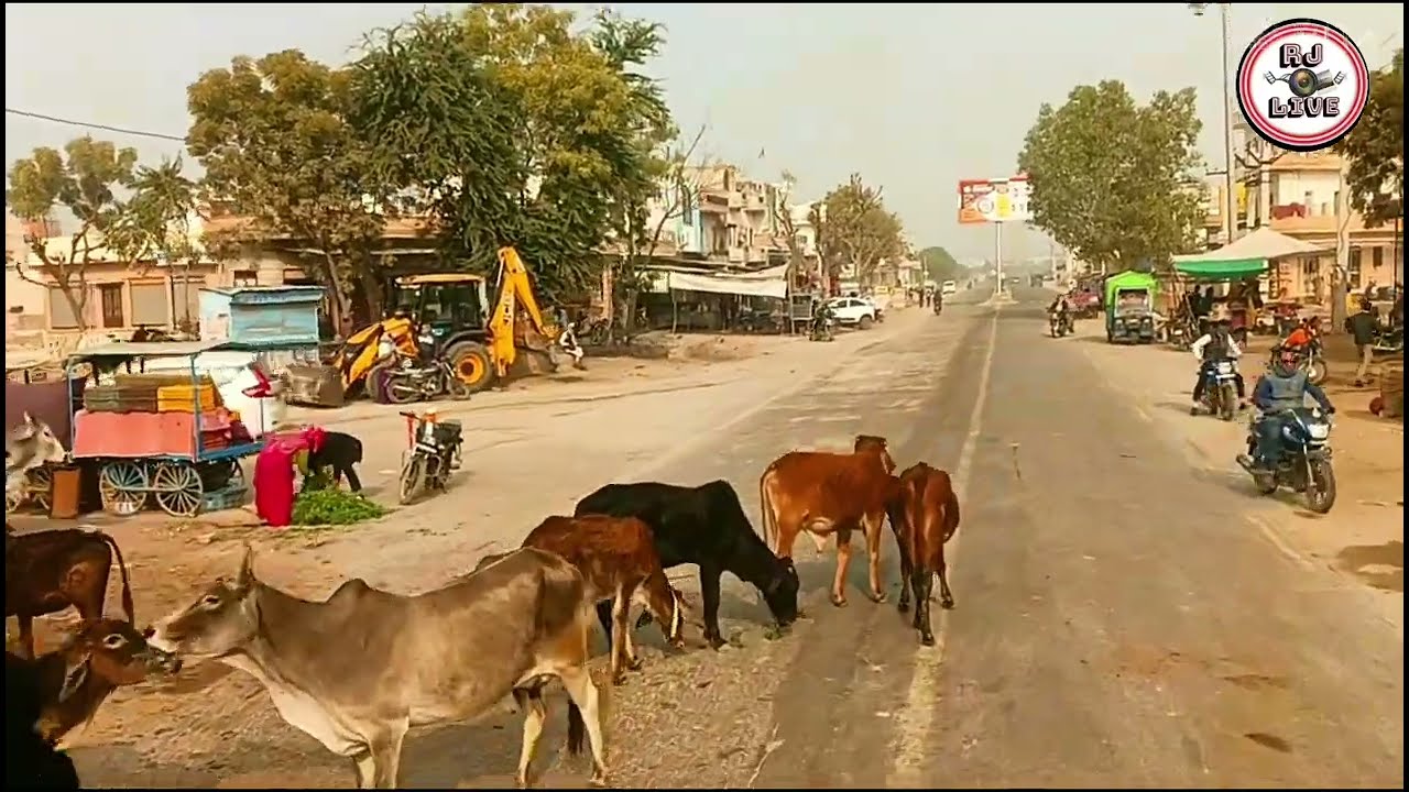 MEERA BAI MERTA CITY VLOG