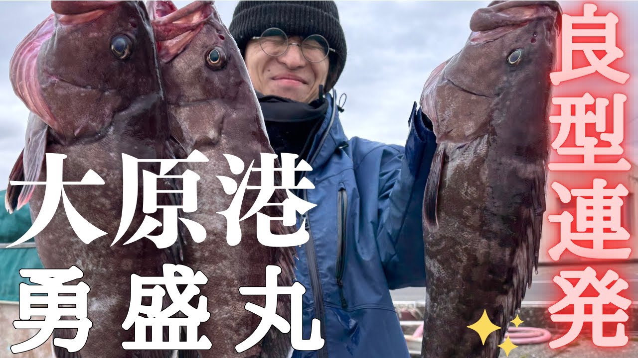 【泳がせ釣り】時合いは突然に！？敗戦ムードから一転　外房の大物マハタ連発！！！！