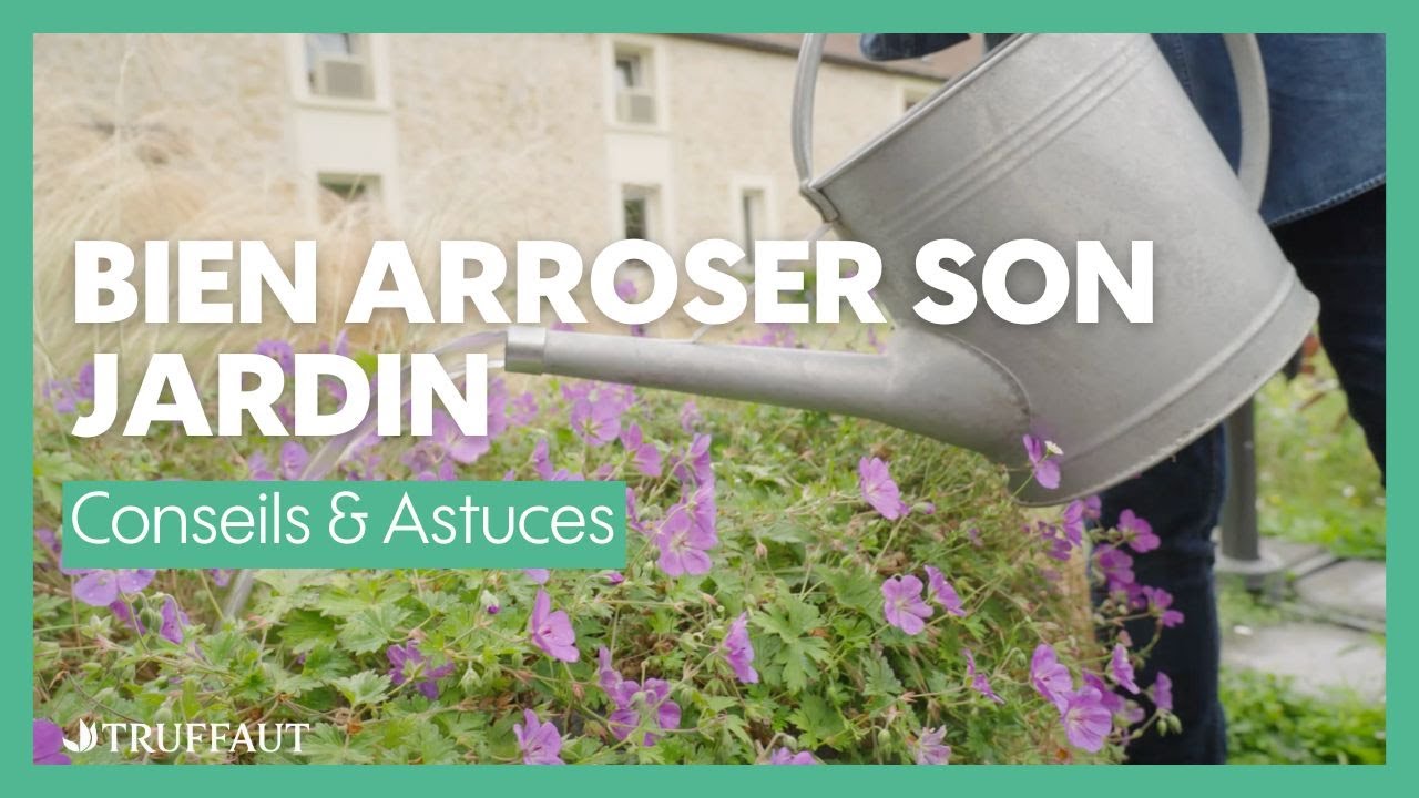Comment bien arroser son jardin ? - Truffaut