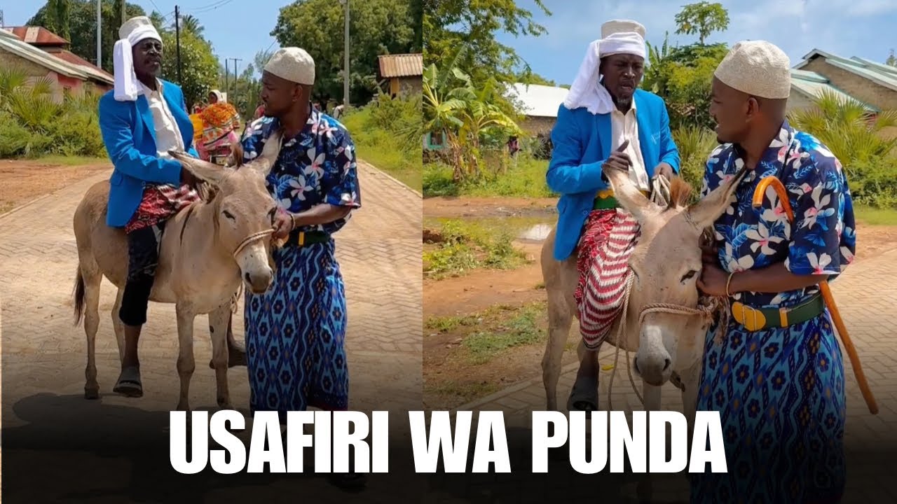 Usafiri wa punda