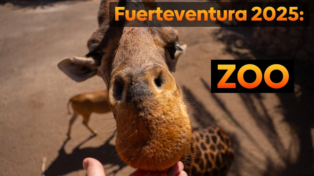 Fuerta 2025 E05 - Zoo i Playa de Sotavento de Jandía