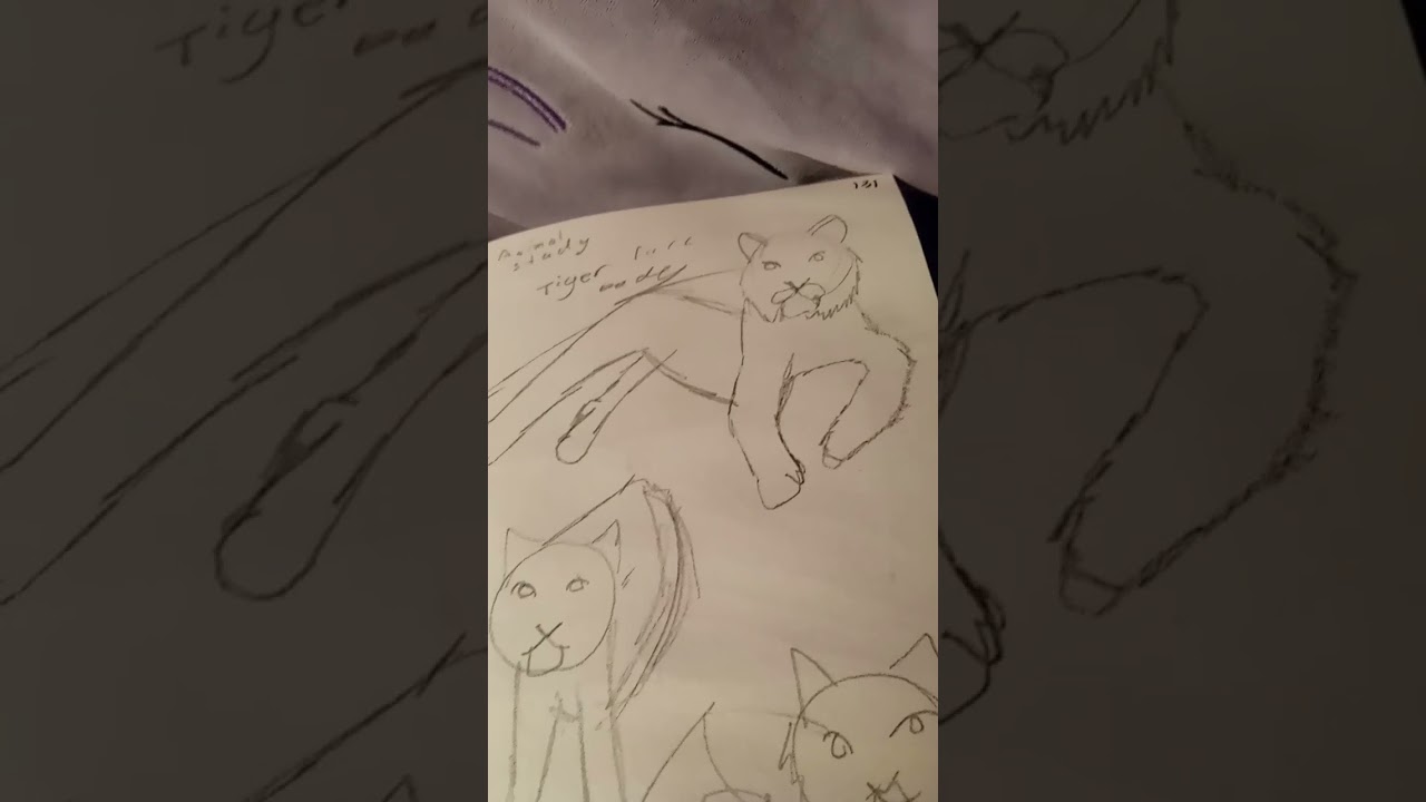 #animalstudy #drawing