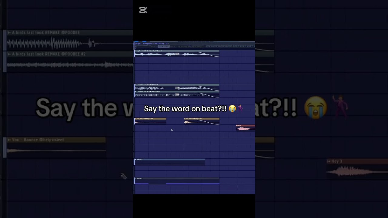 Say The Word On Beat x A Bird's Last Look (Hoodtrap) remix | TikTok RMX | 