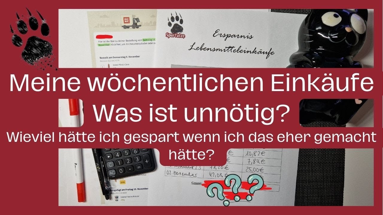 Meine wöchentlichen Einkäufe 🧐 Wo kann ich noch sparen? | Minimalismus Budgetieren Umschlagmethode