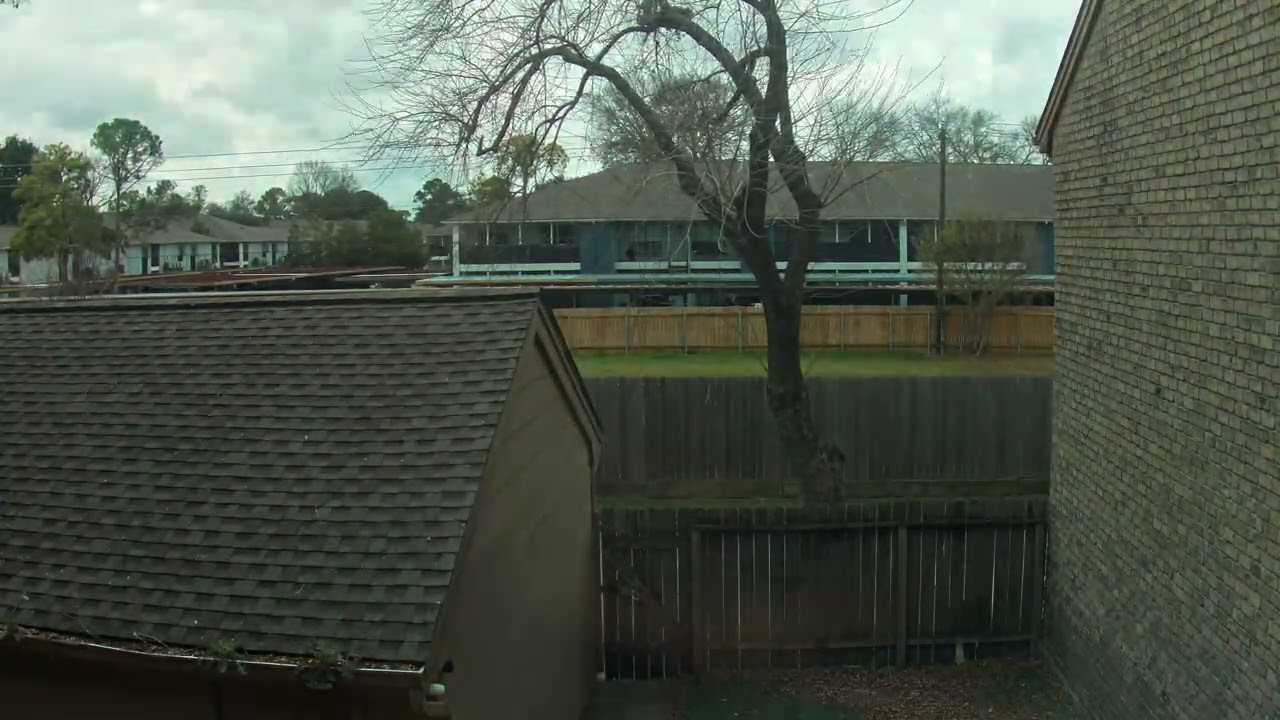 Backyard Timelapse 20260214