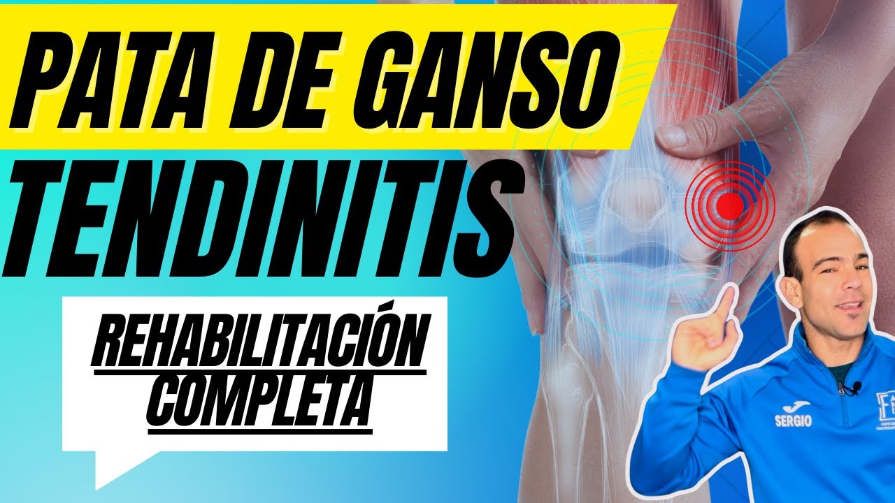 Rehabilitación  TENDINITIS PATA DE GANSO!✅ Los mejores EJERCICIOS y RECOMENDACIONES