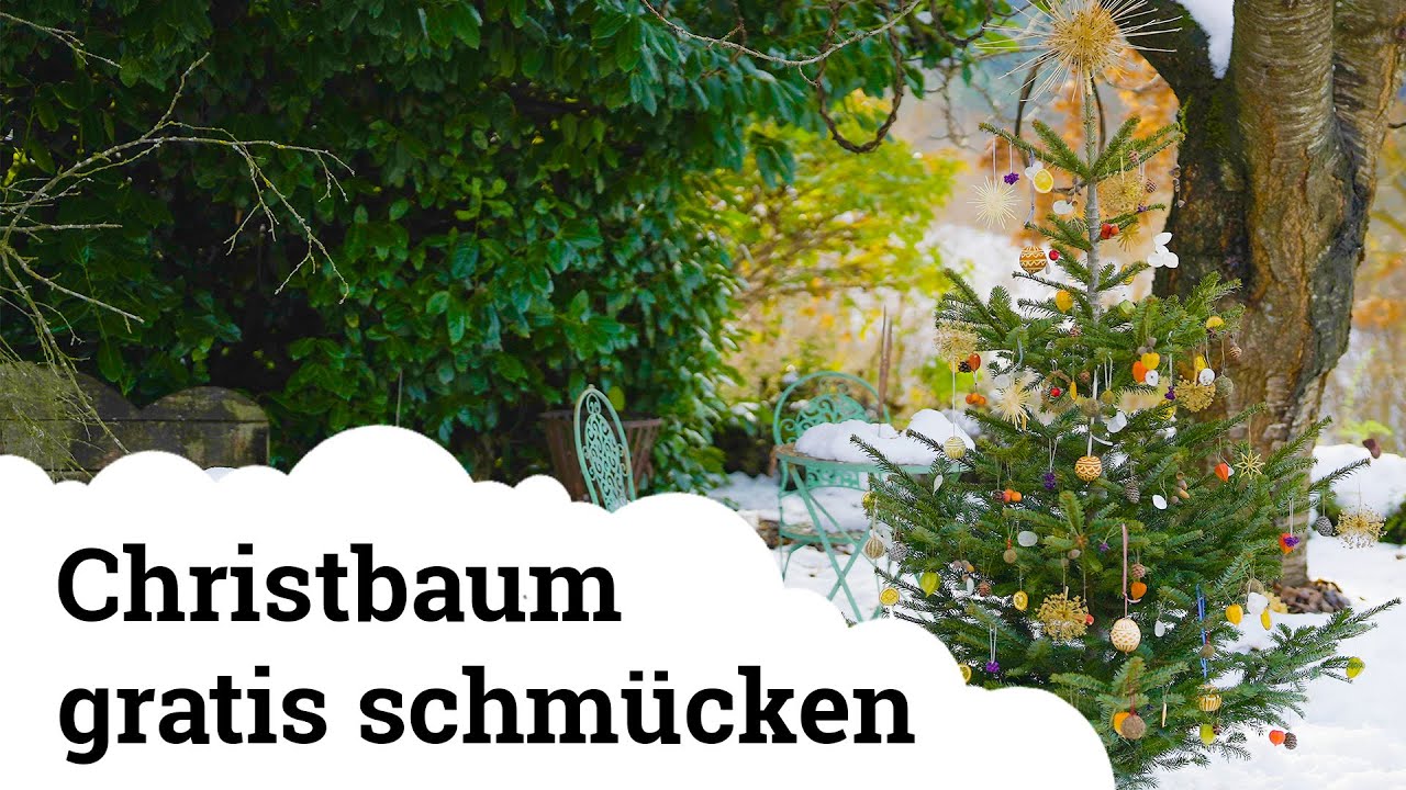 Bezaubernder, nat&uuml;rlicher Christbaumschmuck | Kostenlos aus dem Garten 😍🌱