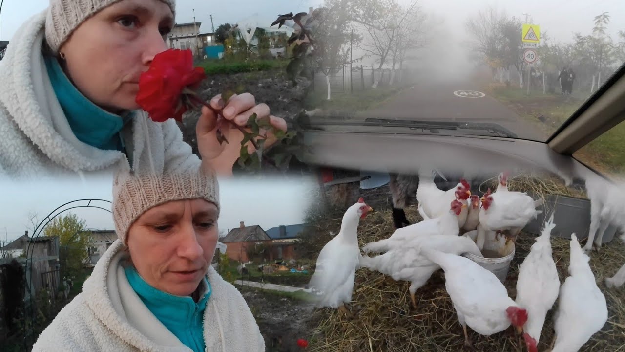 Жизнь в деревне