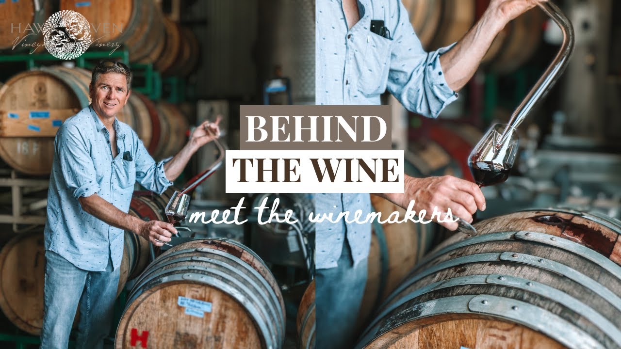 Behind the Wine: Meet the Winemakers 2024 🍇🍷 Tips and Tricks Revealed!