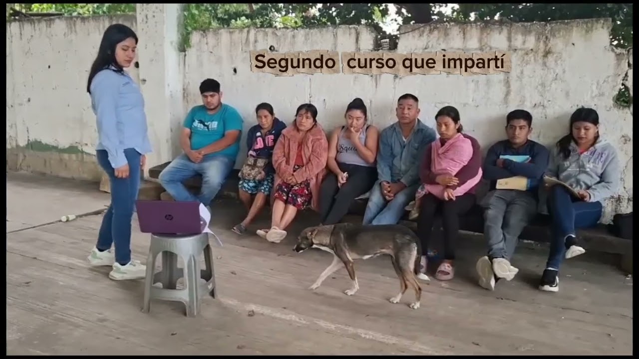 CURSO:REZAGO EDUCATIVO:COMO APOYAR A NUESTROS HIJOS DESDE CASA, FORMACIÓN DE INSTRUCTORES Y PROFESO 