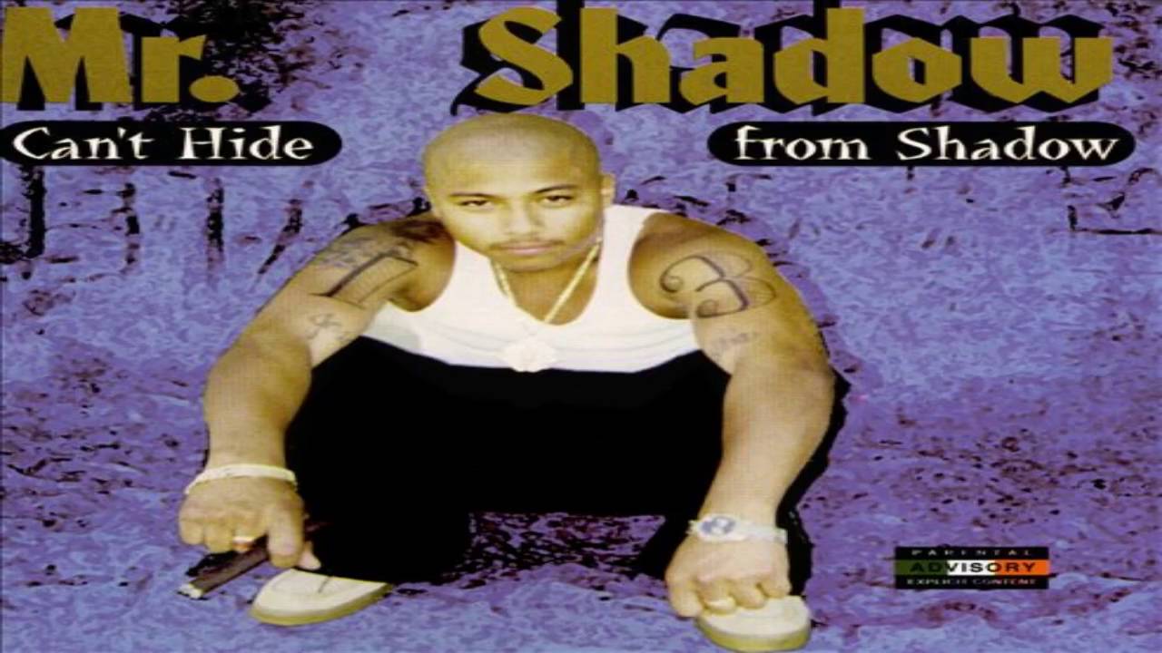 Mr. Shadow - Can't Hide From Shadow