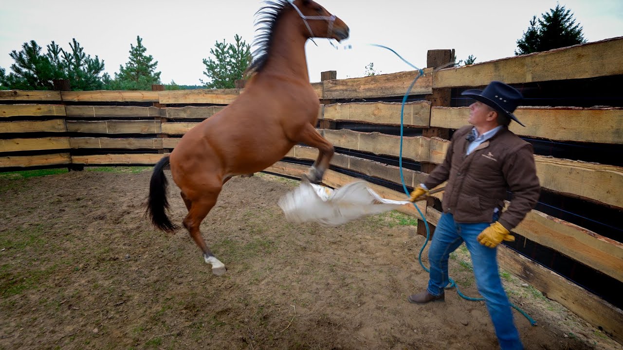 PROBLEM Z ODSADZAJĄCYM SIĘ KONIEM 🐴 || DZIAŁANIE BLOKERA #07