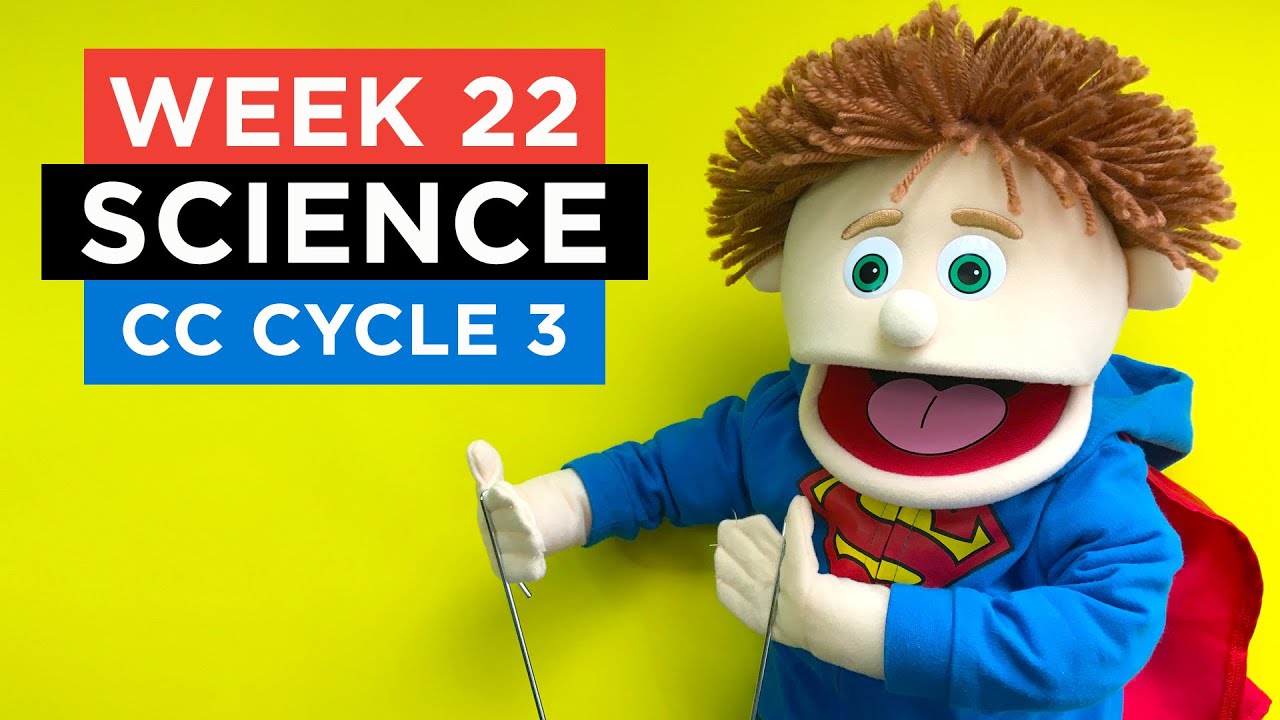 CC Cycle 3 Week 22 Science - Fun and Easy CC Memory Work Activities and Ideas