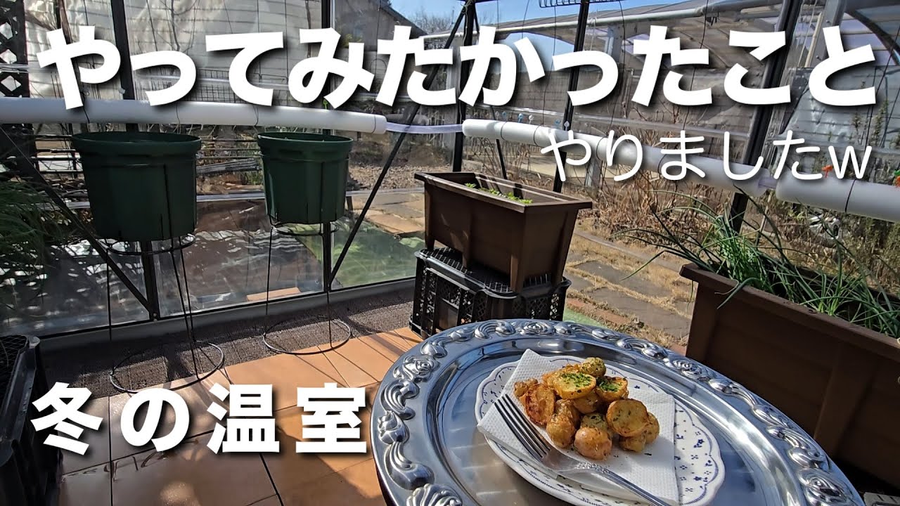 【冬の温室】【100均素材】寒くても楽しい温室活動